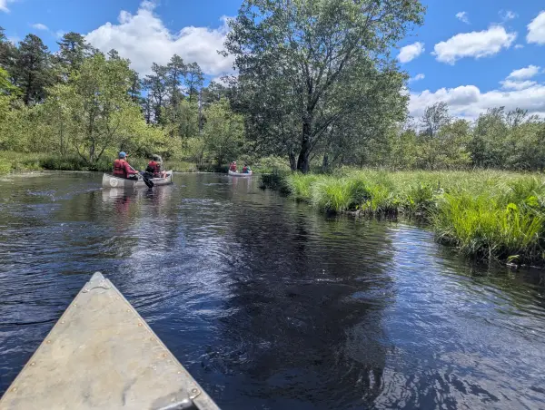 Canoeing on the Mullica River