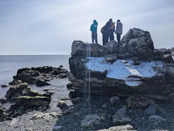 Exploring the Coastal Cliff Walk in Newport, RI